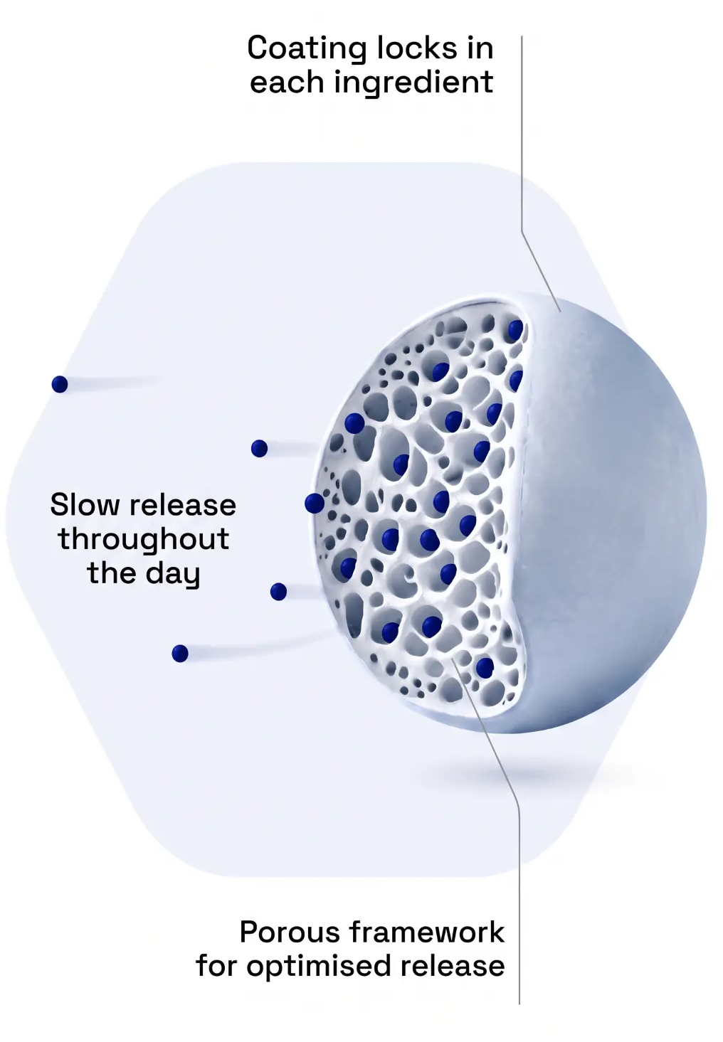 Labelled cross-section of a Lova microgranule: coating locks in each ingredient, slow release throughout the day, porous framework for optimised release
